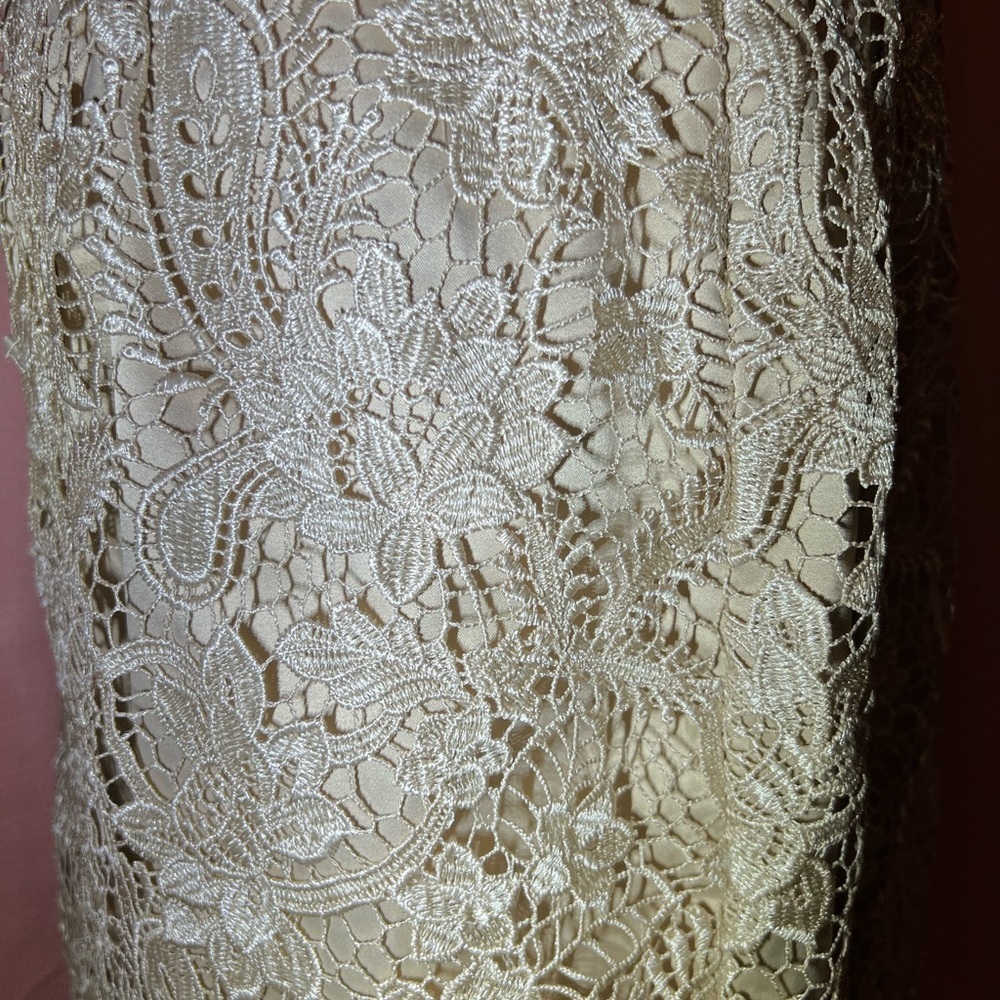 Adrianna Papell Cream lace cap sleeve dress | 8 - Picture 6 of 7